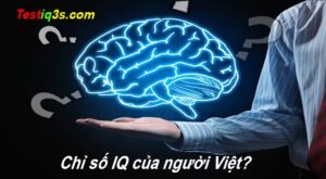 chi-si-iq-cua-nguoi-viet-nam