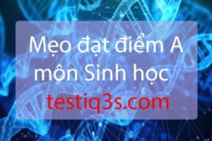 meo-dat-diem-a-mon-sinh-hoc